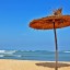 Prognoza meteo pentru mare și plaje în Bouznika în următoarele 7 zile