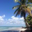 Orarul mareelor în Punta Cana pentru următoarele 14 zile