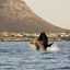 Orarul mareelor în Cape of Good Hope pentru următoarele 14 zile
