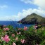 Prognoza meteo pentru mare și plaje în Saba în următoarele 7 zile